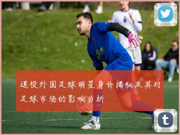 退役外国足球明星身价揭秘及其对足球市场的影响分析