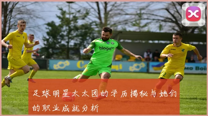 足球明星太太团的学历揭秘与她们的职业成就分析
