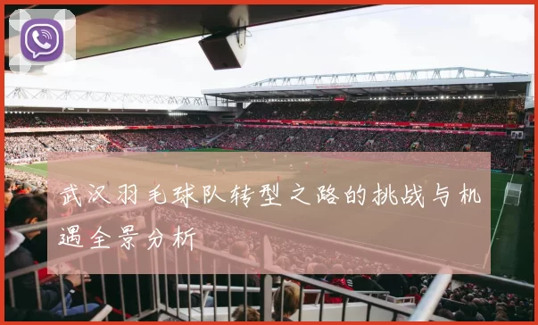 武汉羽毛球队转型之路的挑战与机遇全景分析