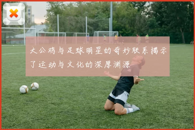 大公鸡与足球明星的奇妙联系揭示了运动与文化的深厚渊源