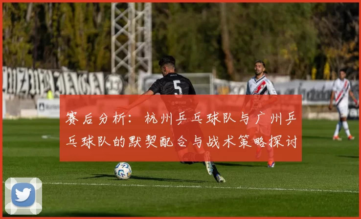 赛后分析：杭州乒乓球队与广州乒乓球队的默契配合与战术策略探讨