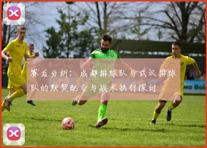 赛后分析：成都排球队与武汉排球队的默契配合与战术执行探讨