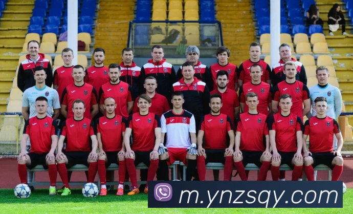 企业概况